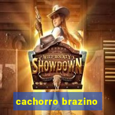 cachorro brazino