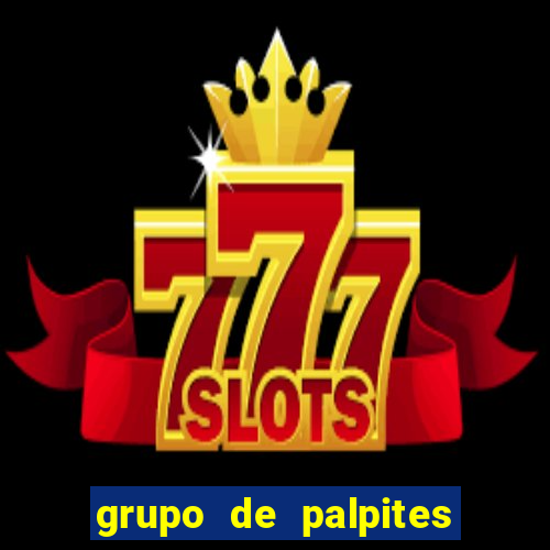 grupo de palpites de futebol telegram