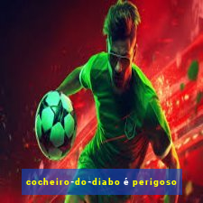 cocheiro-do-diabo é perigoso